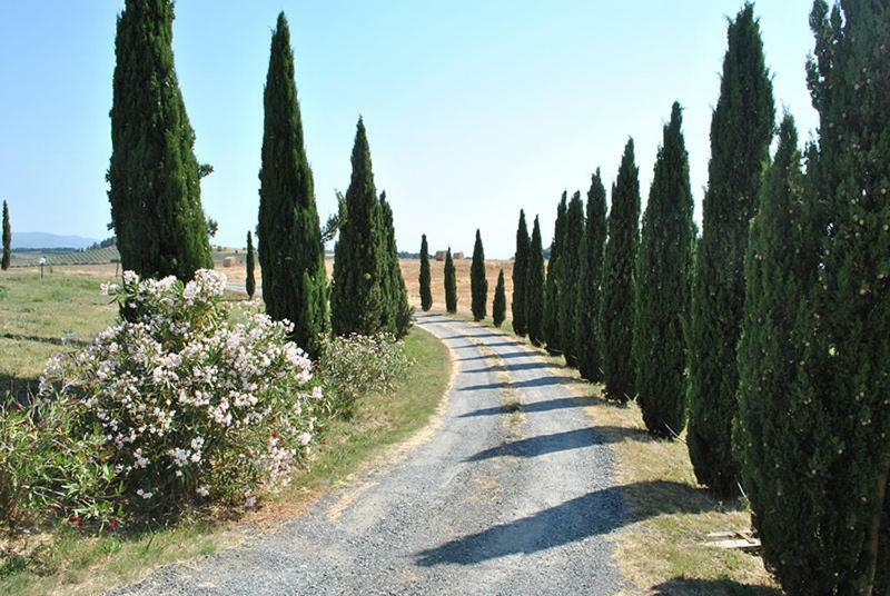 Agriturismo Il Poggio Casale Marittimo Extérieur photo